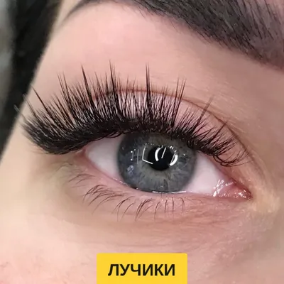 Эффект накладных ресниц - Mood lashes - Салон бровей и ресниц