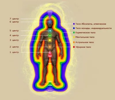Эфирное тело – его роль в состоянии человека и всего организма. |  magiytantra-com-ua | Дзен