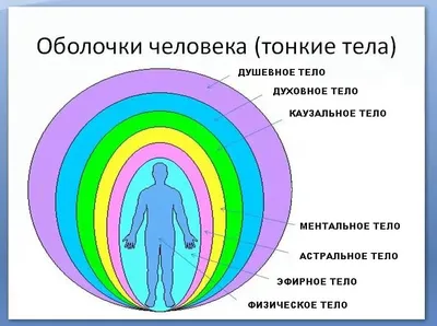 Тела человека. Тонкий мир. Эфирное тело. Часть 2. | MAGNICUM | Дзен