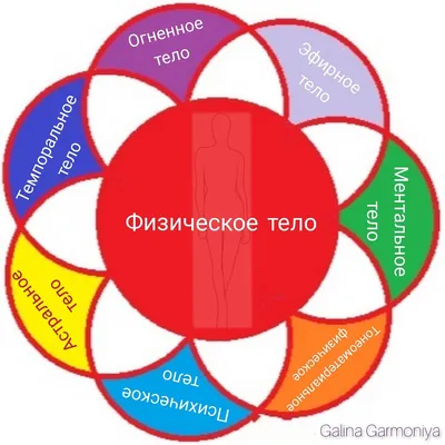 Эфирное, астральное и еще 5 духовных измерений человеческого тела