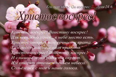 Он воскрес, его здесь нет. откройте пустую пещеру. религиозные приветствия.  иисус воскрес из мертвых. современный дизайн | Премиум векторы