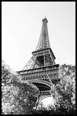 Эйфелева башня черно белая картинки