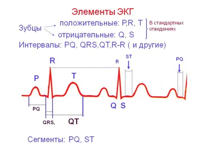 ЭКГ с нагрузкой сделать в Ростове-на-Дону быстро и выгодно