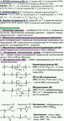 Суточное мониторирование ЭКГ по Холтеру в СПБ - цена, запись