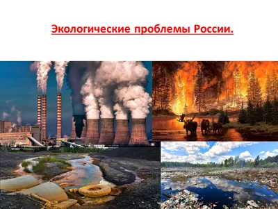 Теперь СМИ: сайт «Экология России» – нацпроектэкология РФ» стал сетевым  изданием - «Экология России»