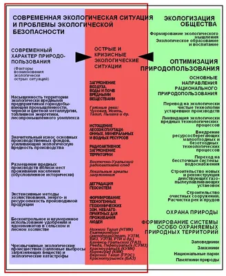 Названы самые большие экологические проблемы 2022 года - «Экология России»