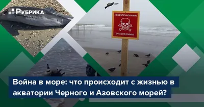 Черный знак загрязнения воды. Экологические проблемы. Изолированный  векторный элемент. Набросок пиктограммы для веб-страницы, мобильного  приложения, промо Векторное изображение ©BackWood 405136790