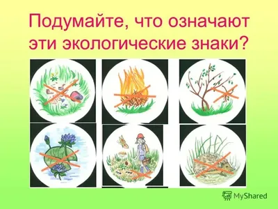 Охрана природы картинки для детей - 34 фото