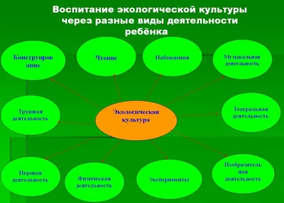 Курс для педагогов ДОО об экологическом воспитании — Аттестатика