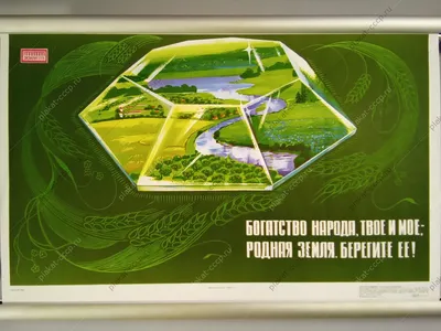 В Госдуме дали пять советов россиянам, как бережнее относиться к природе -  Экология производства | Новости экологии