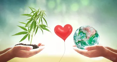 Всероссийский экологический конкурс «Природа. Экология. Человек» - Лицей  №103 «Гармония»