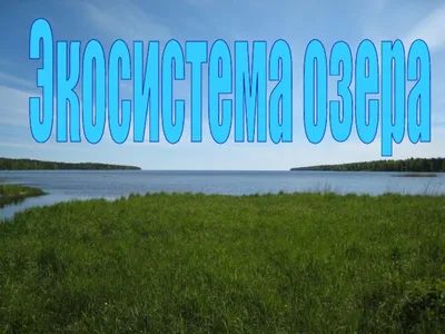 Экосистема озера - Начальные классы - Презентации - 3 класс