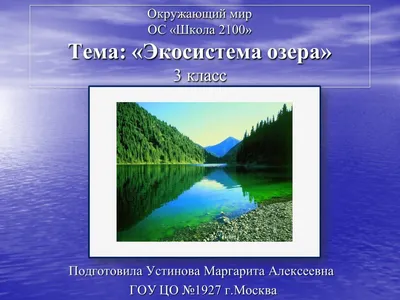 Экосистема озера Лукомльское имеет хороший экологический статус,  экологического регресса не отмечается