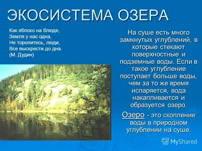 Презентация по окружающему миру по теме "Экосистема озера" (3 класс)