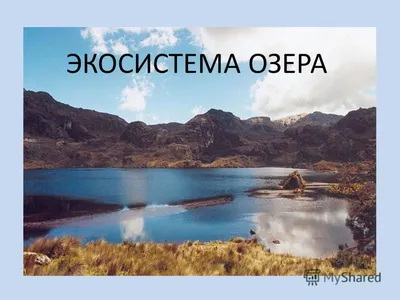 Экосистема озера Байкал будет оцениваться по комплексным факторам  антропогенного влияния