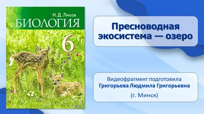 Интернет урок по окружающему миру "Экосистема озера" - Интернет-класс