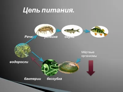 Площадь акватории крупнейшего в Китае соленого озера  увеличилась_