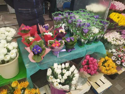 Где купить цветы на 8 Марта в Ташкенте: список магазинов — 