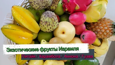 Как выбрать и выращивать экзотические фрукты в условиях домашнего сада |  Сообщество здравого садовода | Дзен