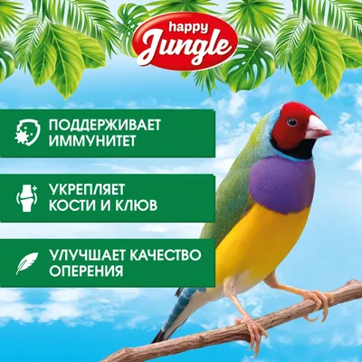 Купить корм для птиц HAPPY JUNGLE для экзотических птиц 500 г J108, цены на  Мегамаркет | Артикул: 100024381619