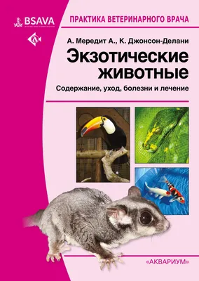 Бесплатный купон: Скидки до 30% на билеты выставку экзотических животных -  акция до  на bOombate (Санкт-Петербург)