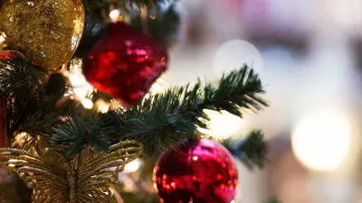 Первую новогоднюю елку зажгли в рамках фестиваля "Зима начинается с Якутии"  - РИА Новости, 