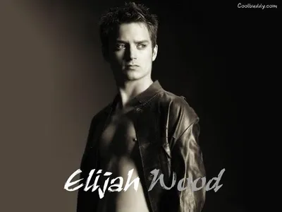 Обои Cool Elijah Wood 00259 - Baltana