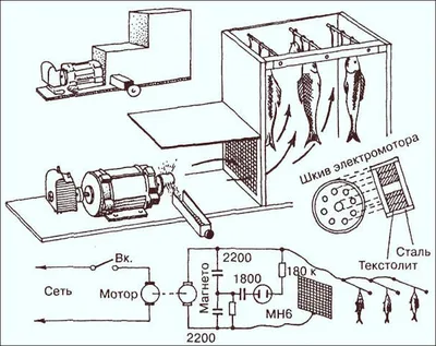 Электростатическая коптильня своими руками: схема, принцип работы