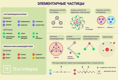 44-1. Фундаментальные взаимодействия и классификация элементарных частиц  (для дополнительного чтения):