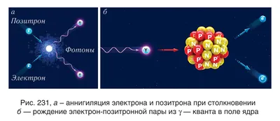 Элементарные частицы