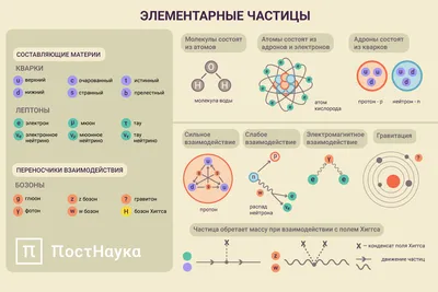 Элементарные частицы и их свойства