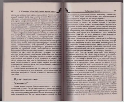 Постродовая депрессия: что это такое, как диагностировать послеродовую  депрессию и лечить — ответы психолога -  - НГС55