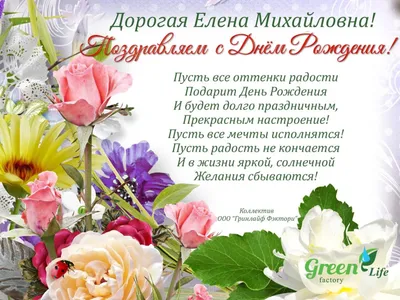 С Днем Рождения, Елена Михайловна! – Гринлайф Фэктори