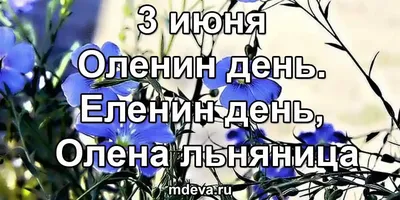 Народный календарь на 3 июня | История | Дзен