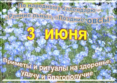 Еленин день: приметы и обряды на 3 июня - Телеграф