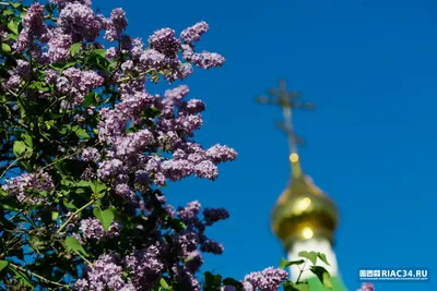 Народный праздник «Еленин день». 3 июня. Что нельзя делать. народные  приметы. - YouTube