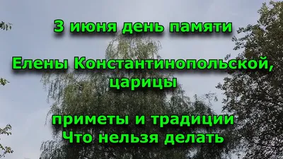 Театр Юного Зрителя. Саратов: Спектакль. 2024 г.