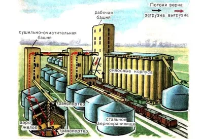 Зерновой элеватор изнутри: работа механизированного организма - статьи АО  "Мельинвест"