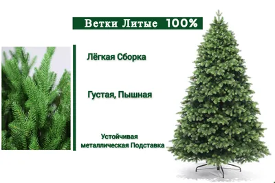 Букет из ели и сосны с гиперикумом купить в СПб в интернет-магазине  Семицветик✿