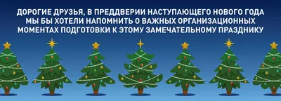 Сосна обыкновенная — Купить с доставкой в Москве | Интернет-магазин Елки-Ели