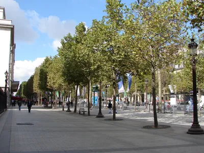 Елисейские Поля (Аvenue des Champs-Elysees) в Париже