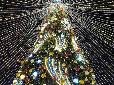 В Геленджике - самая яркая, в Ейске - лысая: топ-10 новогодних елок Кубани  - 
