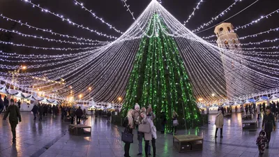 Названа самая красивая рождественская елка Европы - РИА Новости, 