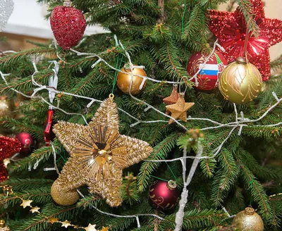 Красивая новогодняя елка в уютной гостиной :: Стоковая фотография ::  Pixel-Shot Studio