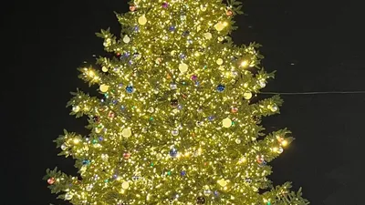 красивая елка с подарками PNG , Рождественская елка, С Рождеством, подарки  на Рождество PNG картинки и пнг PSD рисунок для бесплатной загрузки