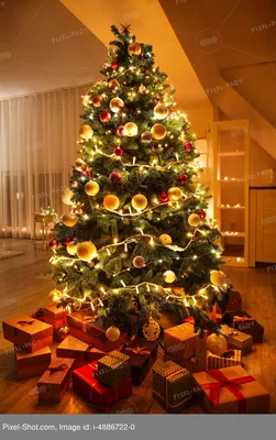 Патч елка с подарками - купить с доставкой по выгодным ценам в  интернет-магазине OZON (203703182)
