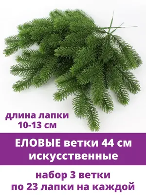 Еловая ветка, эффект патины, 9 лапок, 25 см, набор 20 шт. – купить в Казани  | «С Нежностью»