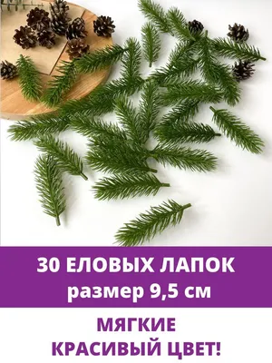 Купить Еловая ветка, еловая лапка искусственная, декор зимний 9,5 см, 30  штук по выгодной цене в интернет-магазине  (428117849)