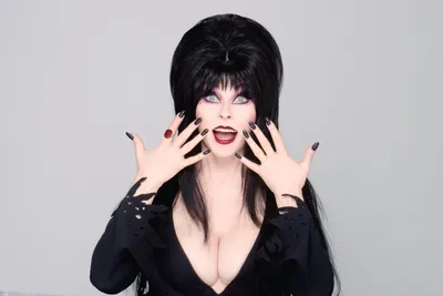 Elvira: Mistress of the Dark - YouTube