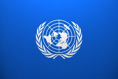 Рекомендации стран-членов ООН Грузии - SOVA